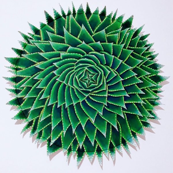 Spiral Of Life