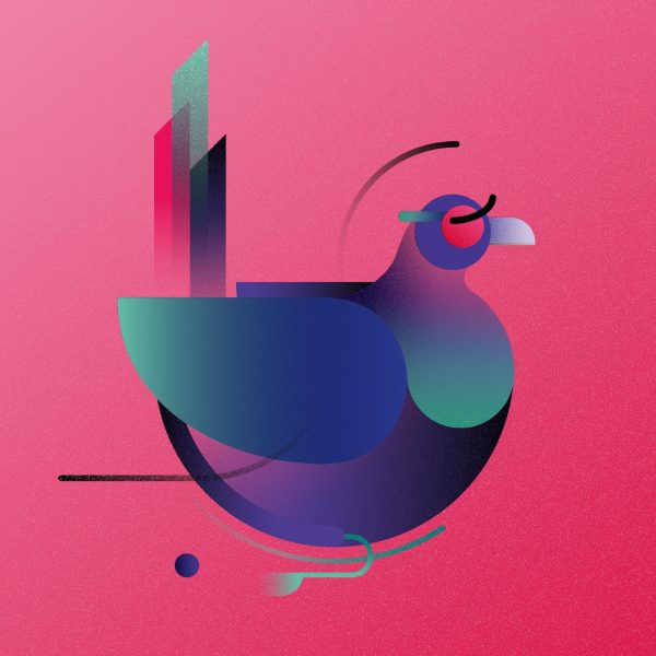 The Pheasant
