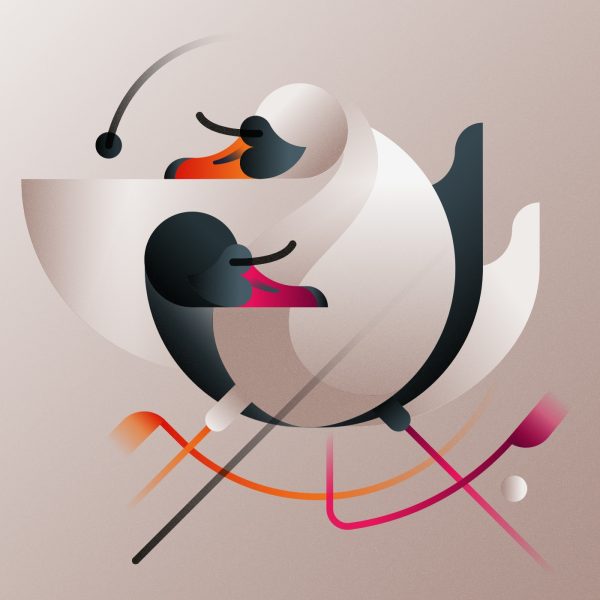 The Swans