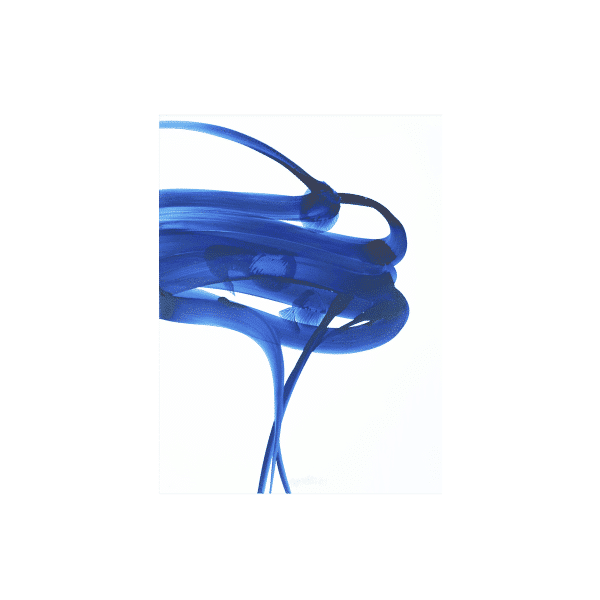 Blu 03