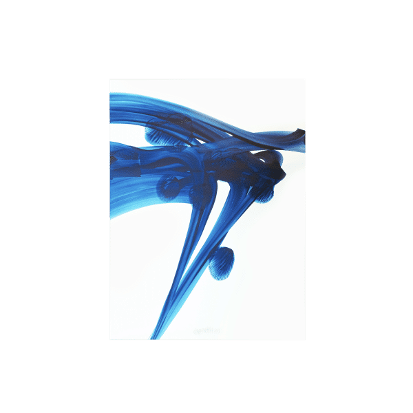 Blu 04